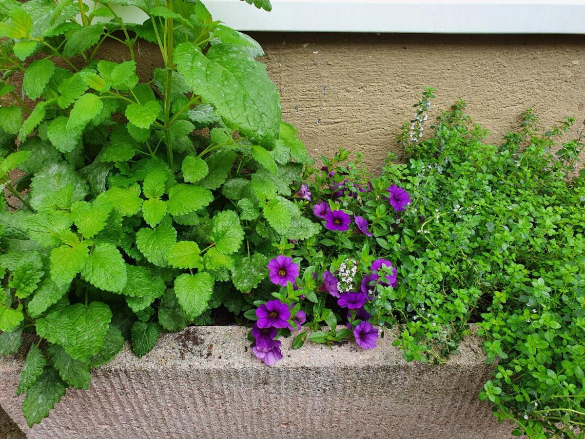 Ferienwohnung Tiroler Auszeit & Whirlpool Хёфен Экстерьер фото